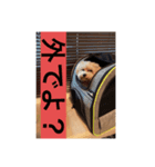るい＆りく（個別スタンプ：5）