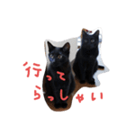 クロモカスタンプ2（個別スタンプ：3）
