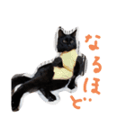 クロモカスタンプ2（個別スタンプ：12）