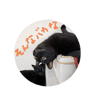 クロモカスタンプ2（個別スタンプ：16）