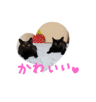 クロモカスタンプ2（個別スタンプ：24）