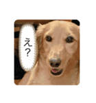 ころんころろん（個別スタンプ：2）