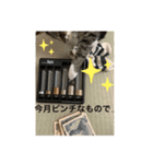 ミーハー猫 ししゃも（個別スタンプ：8）