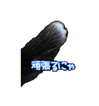 たまおの会話（個別スタンプ：2）