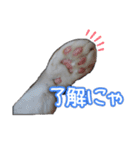 たまおの会話（個別スタンプ：5）