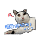 たまおの会話（個別スタンプ：11）