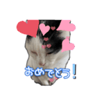 たまおの会話（個別スタンプ：16）