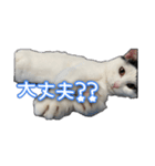 たまおの会話（個別スタンプ：21）