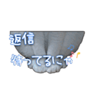 たまおの会話（個別スタンプ：22）