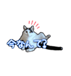 たまおの会話（個別スタンプ：24）