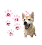 春1（個別スタンプ：5）