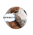 ポノちゃんスタンプその8（個別スタンプ：1）