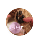 ポノちゃんスタンプその8（個別スタンプ：4）