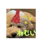 ポムはいつもげんきなんです〜（個別スタンプ：2）