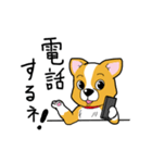 コーギー犬のベッキーと遊ぼう（個別スタンプ：40）