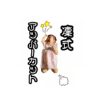 凜ちゃんスタンプ No.2（個別スタンプ：1）