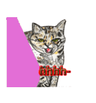 我が家の三匹の保護猫（個別スタンプ：7）