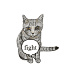 我が家の三匹の保護猫（個別スタンプ：9）