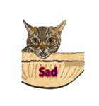 我が家の三匹の保護猫（個別スタンプ：38）
