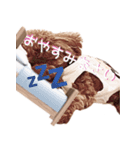 おてんばプードル3（個別スタンプ：3）