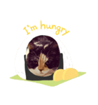 ぽっぽすたんぷ（個別スタンプ：1）