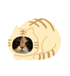 ぽっぽすたんぷ（個別スタンプ：3）