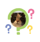 ぽっぽすたんぷ（個別スタンプ：4）
