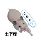 BMPC（個別スタンプ：9）