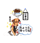 ターボっちゃま（個別スタンプ：1）