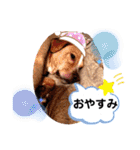 ターボっちゃま（個別スタンプ：3）
