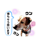 ターボっちゃま（個別スタンプ：8）