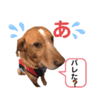 ターボっちゃま（個別スタンプ：9）