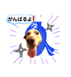 ターボっちゃま（個別スタンプ：10）