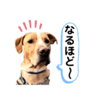 ターボっちゃま（個別スタンプ：12）