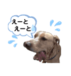 ターボっちゃま（個別スタンプ：13）