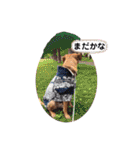ターボっちゃま（個別スタンプ：15）