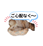 ターボっちゃま（個別スタンプ：16）