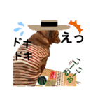 ターボっちゃま（個別スタンプ：17）