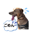 ターボっちゃま（個別スタンプ：20）