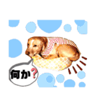 ターボっちゃま（個別スタンプ：21）