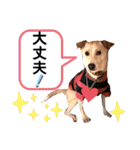 ターボっちゃま（個別スタンプ：22）