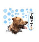 ターボっちゃま（個別スタンプ：23）