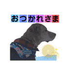 ターボっちゃま（個別スタンプ：24）