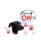ターボっちゃま（個別スタンプ：25）