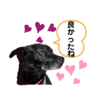 ターボっちゃま（個別スタンプ：26）