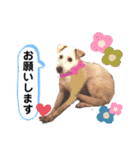 ターボっちゃま（個別スタンプ：28）