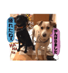 ターボっちゃま（個別スタンプ：33）