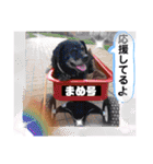ターボっちゃま（個別スタンプ：35）