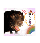 ターボっちゃま（個別スタンプ：36）