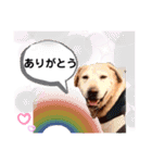 ターボっちゃま（個別スタンプ：37）